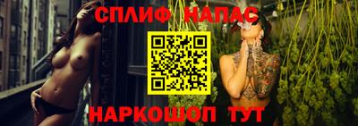 молекула духа Пугачёв
