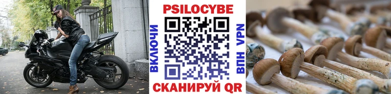 Галлюциногенные грибы Psilocybe  OMG   Углич 