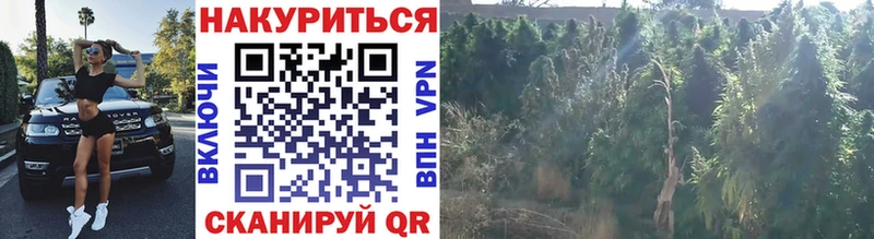 мега ссылки  Углич  это какой сайт  Бошки Шишки VHQ 